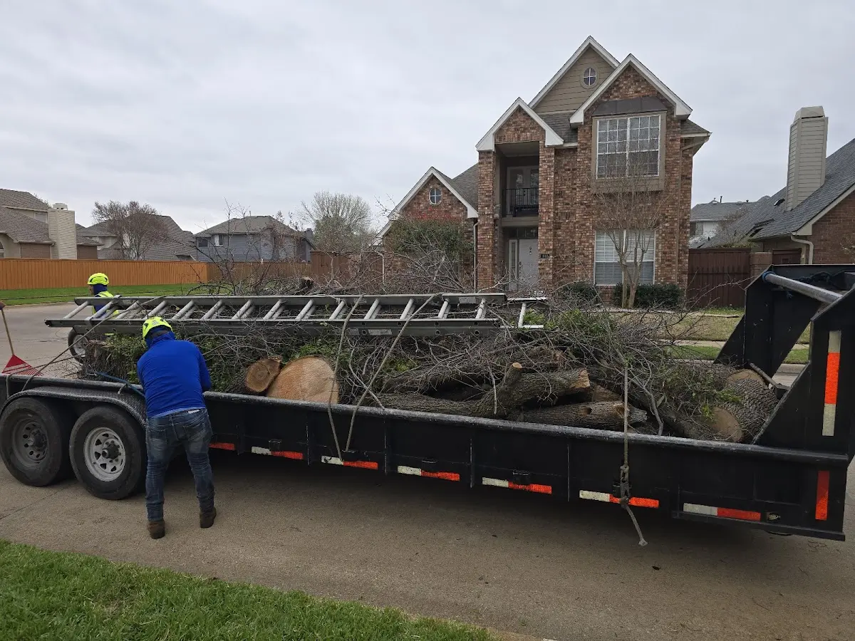 Expert Tree Pest Control with proper safety equipment in Indianola